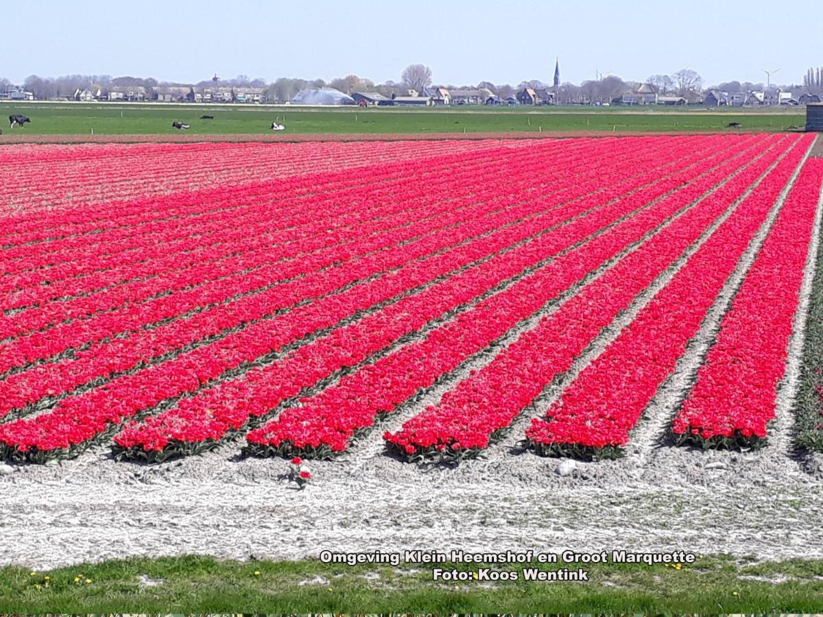 Klein Heemshof - Noord Holland Aan Uw Voeten Villa Warmenhuizen Kültér fotó