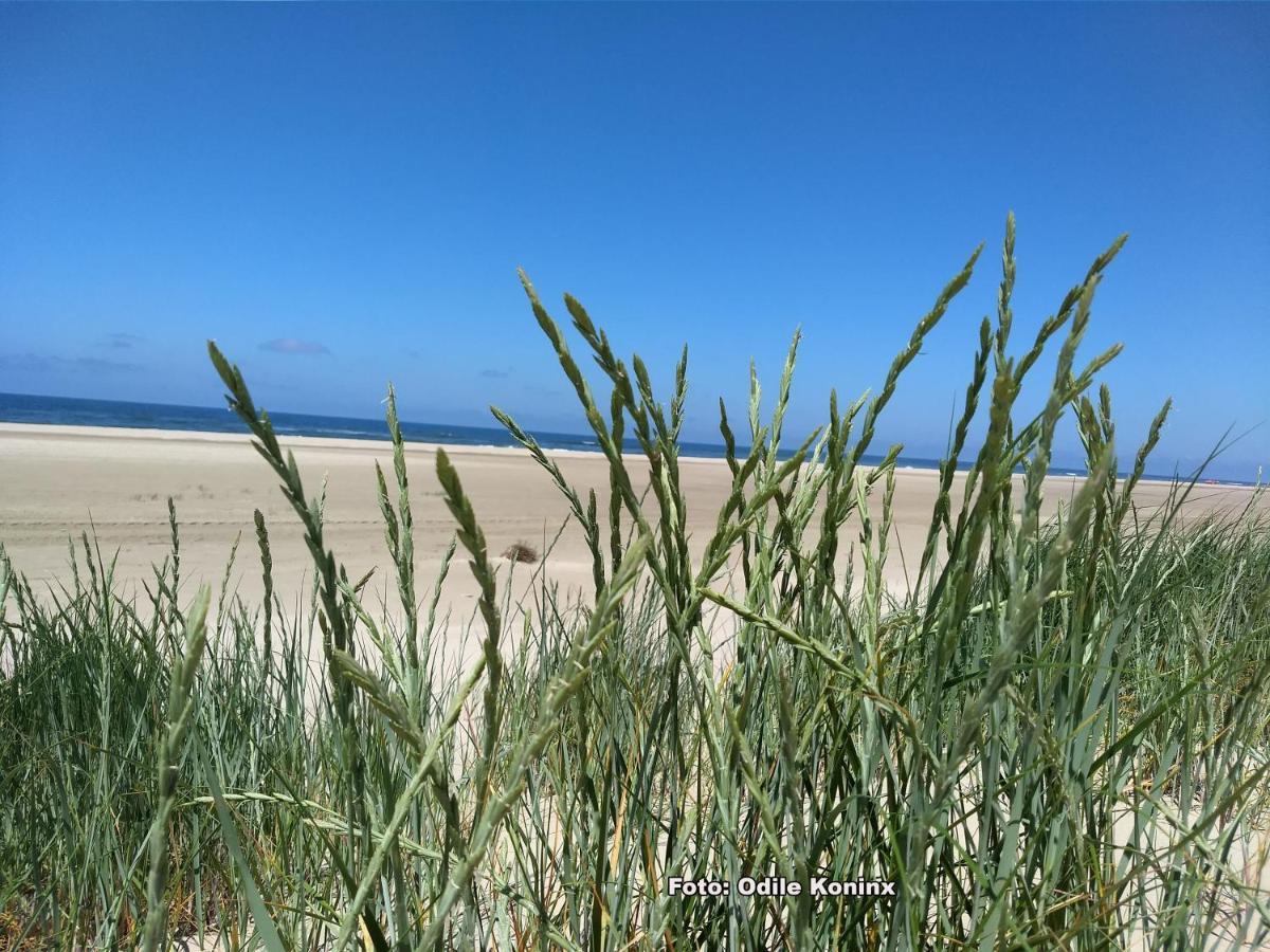 Klein Heemshof - Noord Holland Aan Uw Voeten Warmenhuizen Kültér fotó